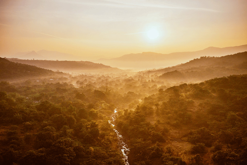Dharana Wellness Retreat