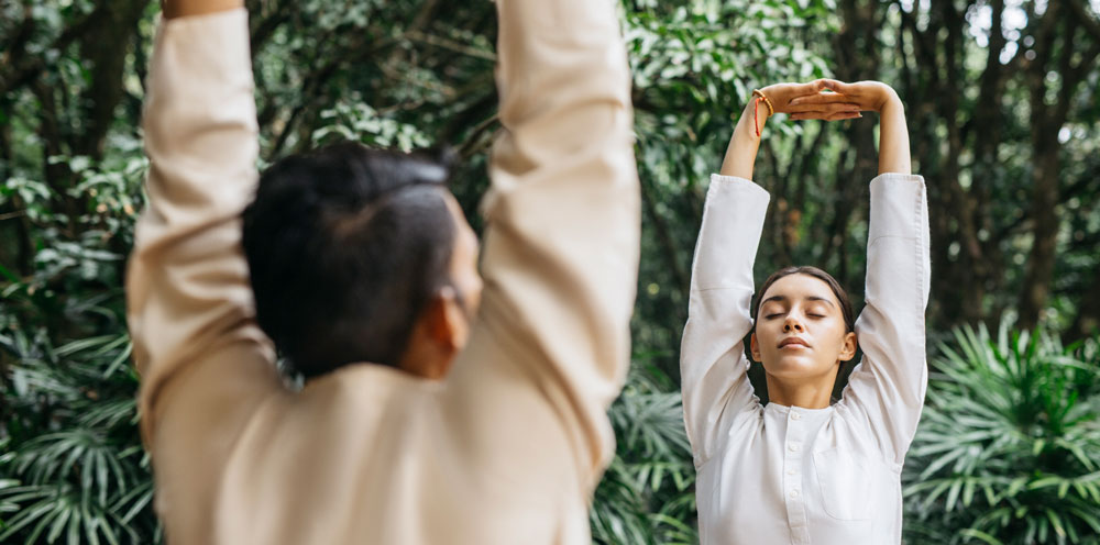 Wellness Yoga therapy at Vana, India