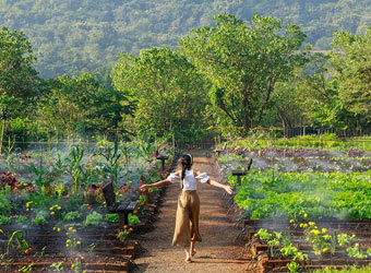 Sustainable Weight Management