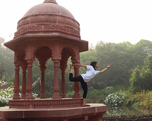 Yoga Teacher Training Level 1