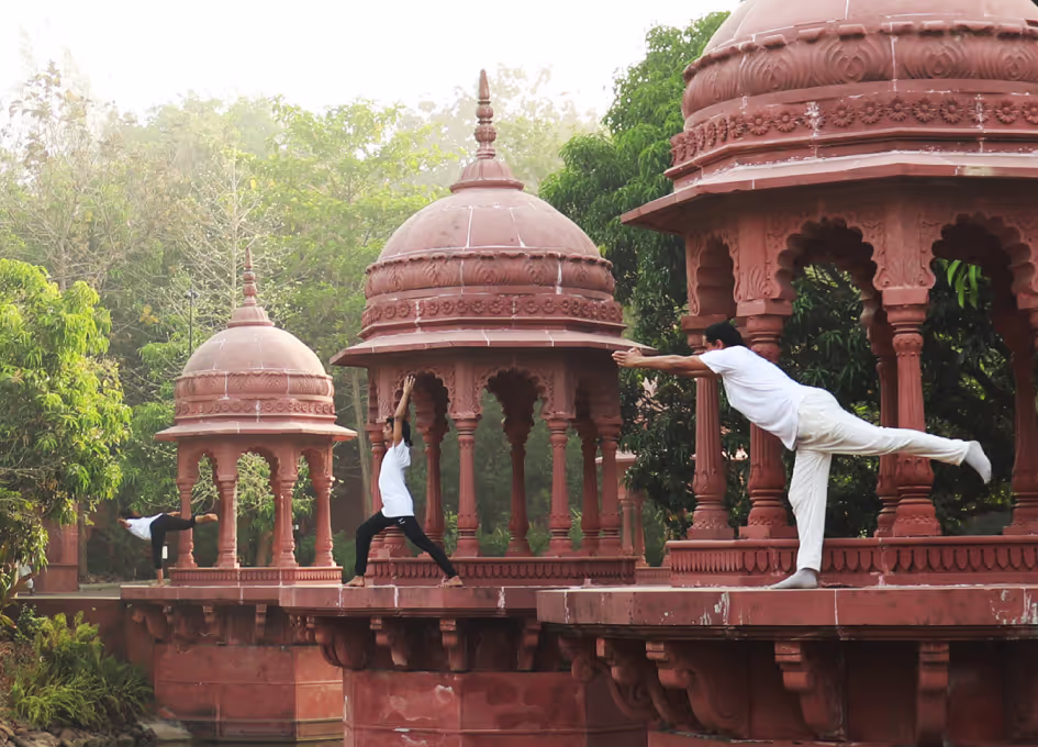 Yoga Teacher Training Level 2