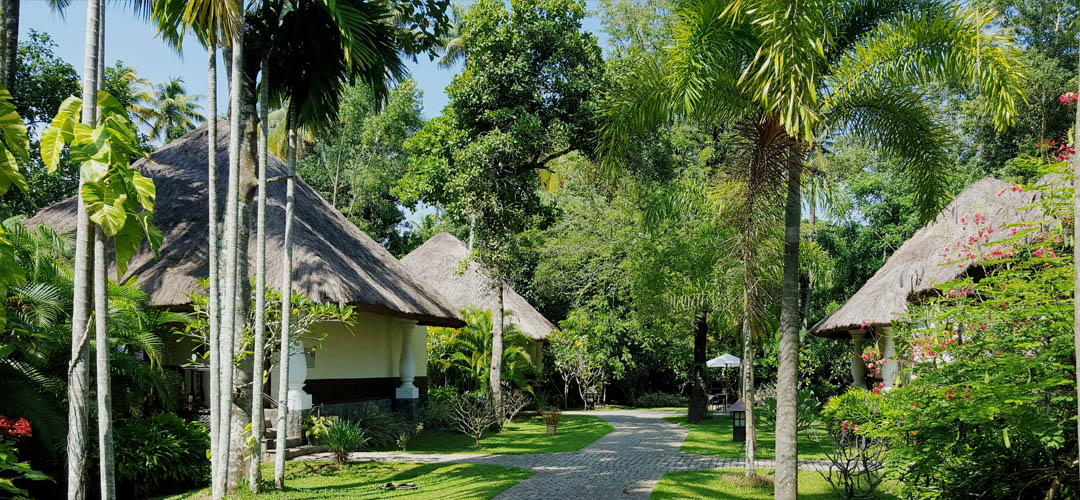 Carnoustie - Image 7